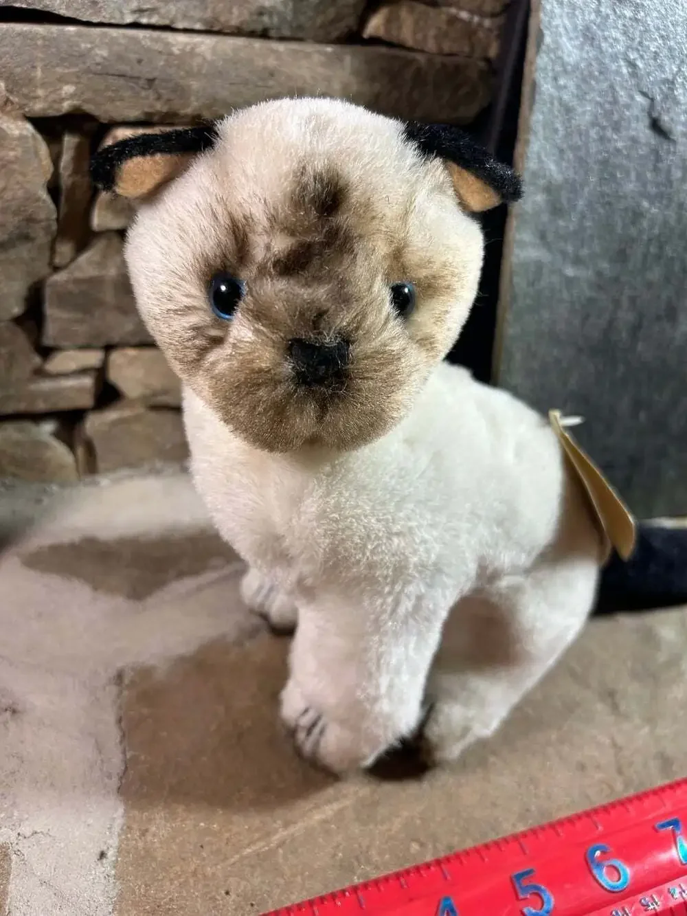 Russ Yomiko Plush Siamese Breed Cat Kitty Black Cream Blue Eyes
